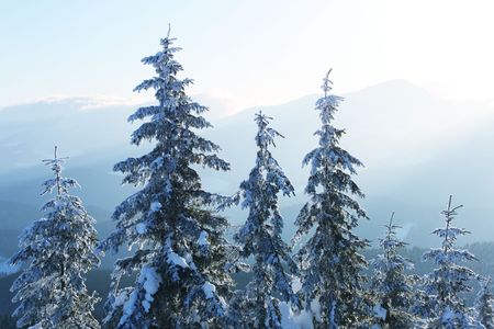 Winter sunset