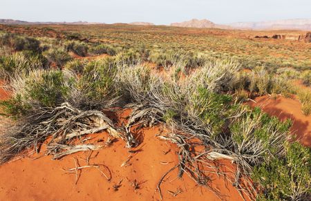 Sand desert