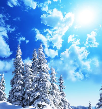 Winter forestの写真素材