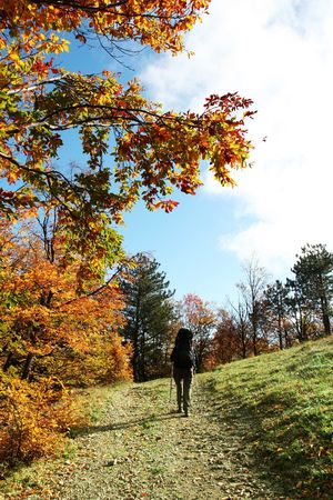 hike in autumn forestの写真素材