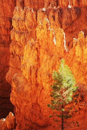 Bryce Canyon