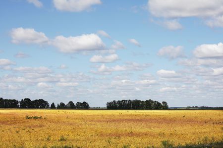 fieldの写真素材