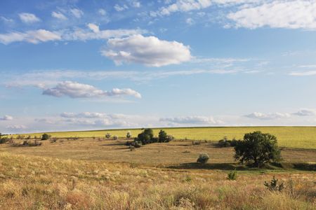 grasslandの写真素材