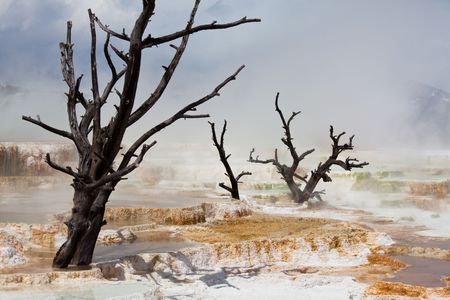 Mammoth Hot Springの写真素材