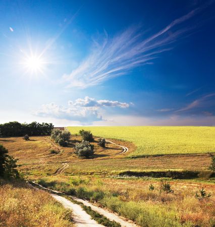 Road in  meadowsの写真素材