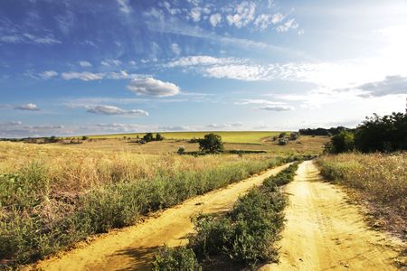 Road in  meadowsの写真素材