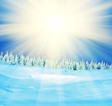 Winter sunsetの写真素材