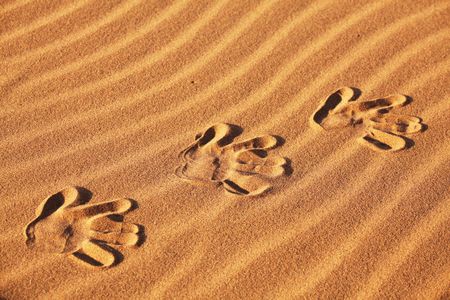 Footprints on the sandの写真素材