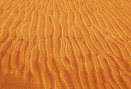 snake footprints on sandの写真素材