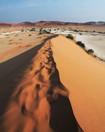 Sand desertの写真素材