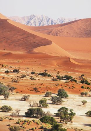Dead valley in Namibiaの写真素材