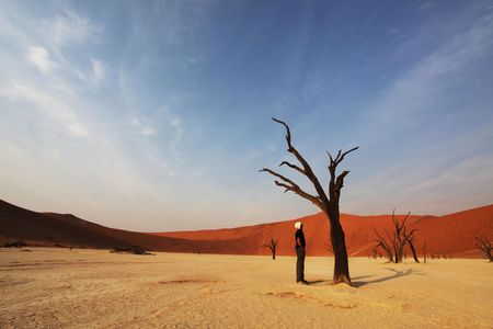 Dead valley in Namibiaの写真素材
