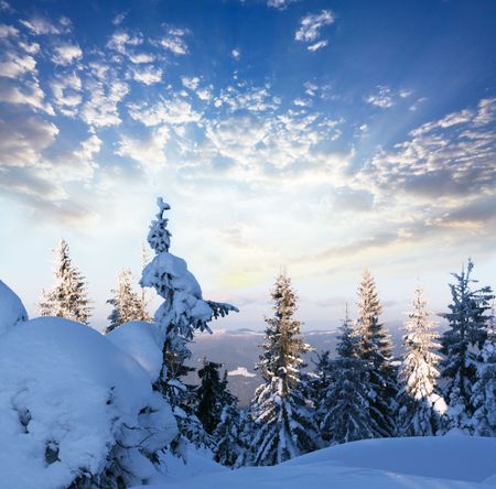 Winter sceneの写真素材
