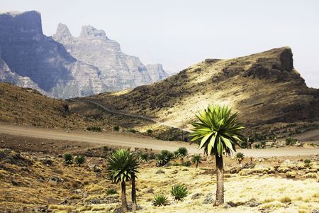 Kenyan landscapesの写真素材