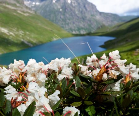 mountain lakeの写真素材