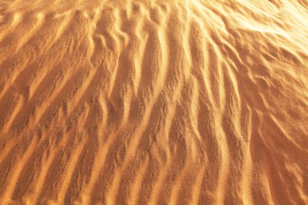 Dune textureの写真素材