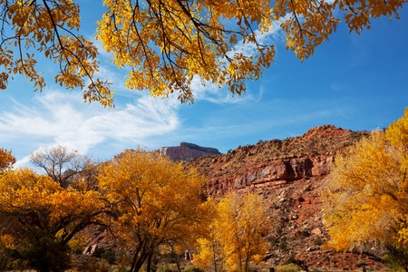 Autumn scene