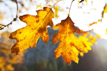 fieldの写真素材