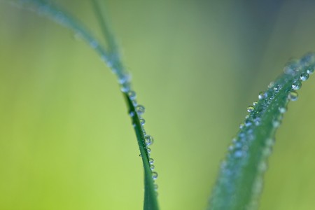 Rain in gardenの写真素材