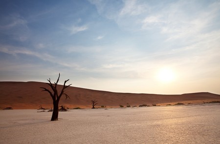 Dead valley in Namibiaの写真素材