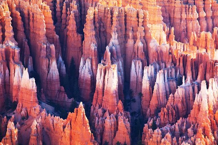 Bryce Canyonの写真素材
