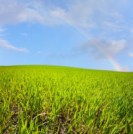 Fieldの写真素材