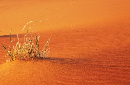 Sand desertの写真素材