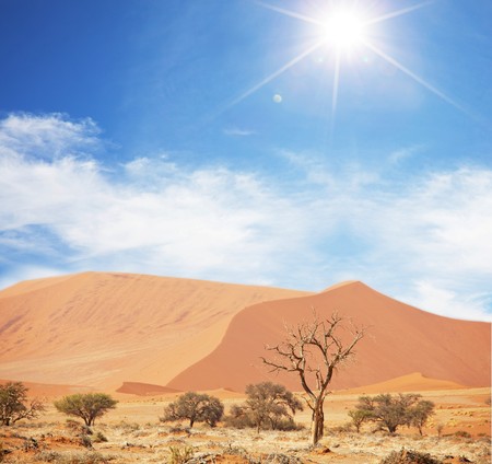 Sand desertの写真素材