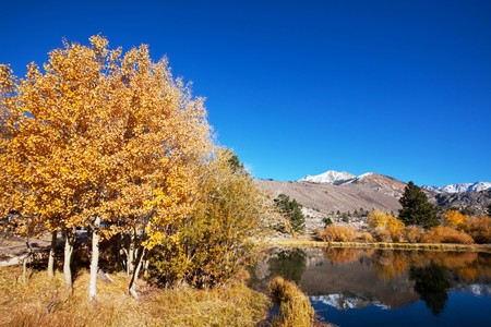 autumn in Sierra Nevadeの写真素材