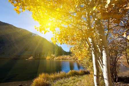 autumn in Sierra Nevadeの写真素材