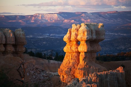 Bryce Canyonの写真素材