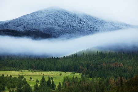 autumn fogの写真素材