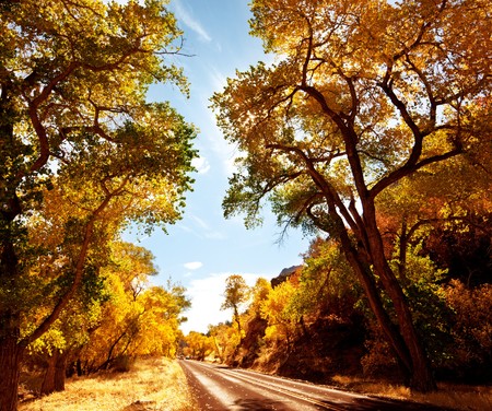 autumn in Sierra Nevadeの写真素材