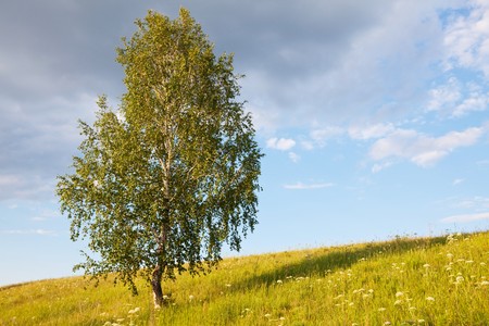 Landscapesの写真素材