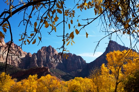 Autumn scene in Zionの写真素材