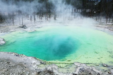 geyser in Yellowstoneの写真素材