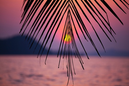 Tropical beachの写真素材