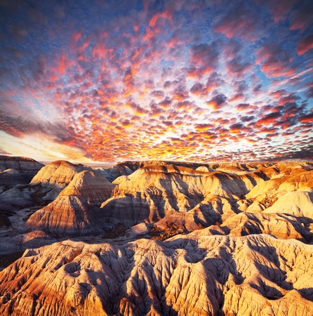 Gobi desertの写真素材