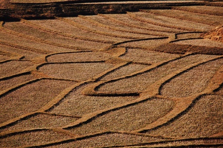 ploughed fieldの写真素材