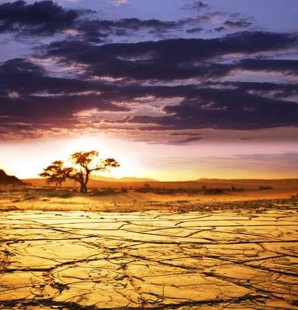 Dead valley in Namibiaの写真素材