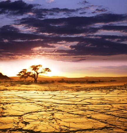 Dead valley in Namibiaの素材 [FY3109075596]