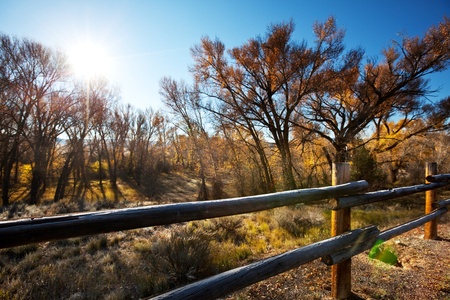 Autumn sceneの写真素材