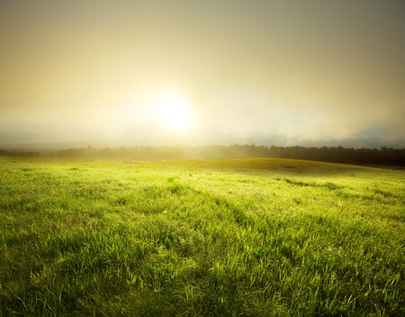 fog on meadowの写真素材