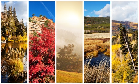autumn in Sierra Nevadeの写真素材