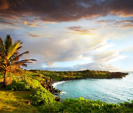 Oahu islandの写真素材