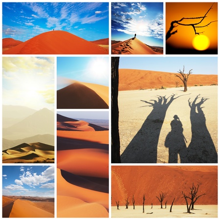 Namib desertの写真素材