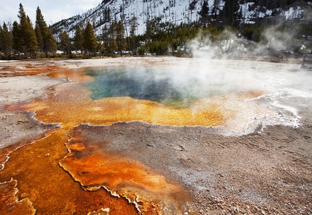 Mammoth Hot Springの写真素材