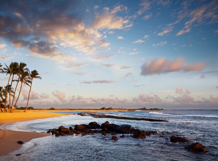 Beach on sunsetの写真素材