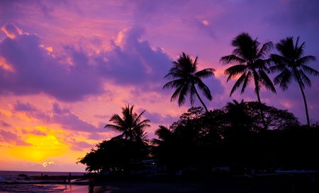 tropical sunsetの写真素材