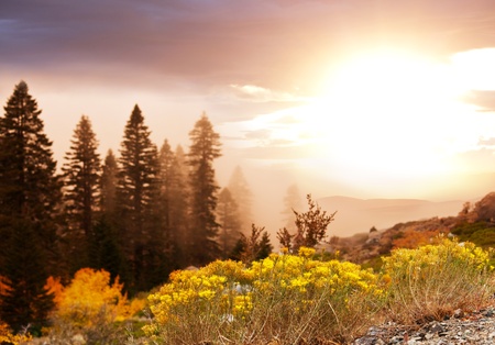 fog in autumn mountainsの写真素材